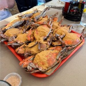 Maryland Blue 🦀 Crabs 🦀